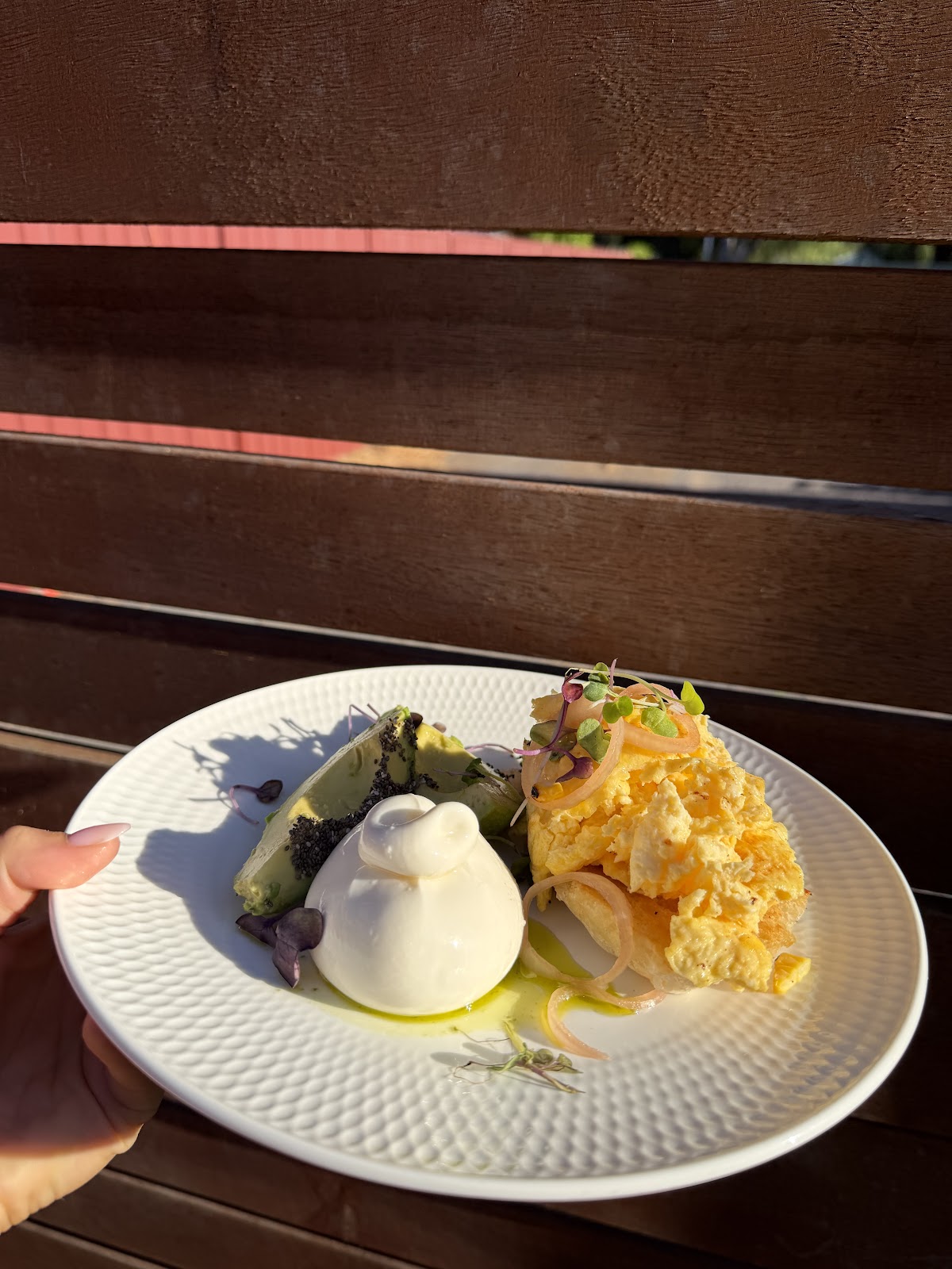 Burrata, eggs and avocado plate held up outside